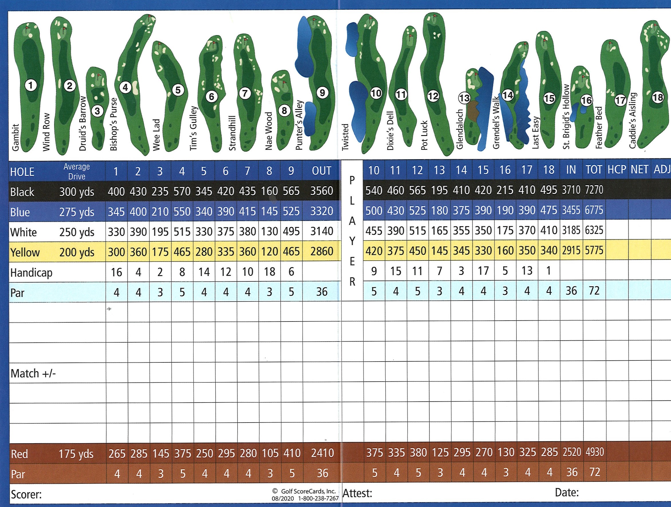 golf tour levels